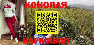 шишки Апшеронск