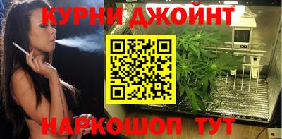 шишки Апшеронск