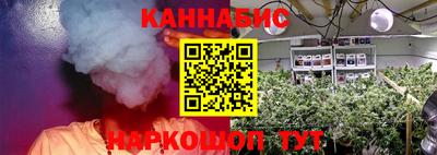 шишки Апшеронск