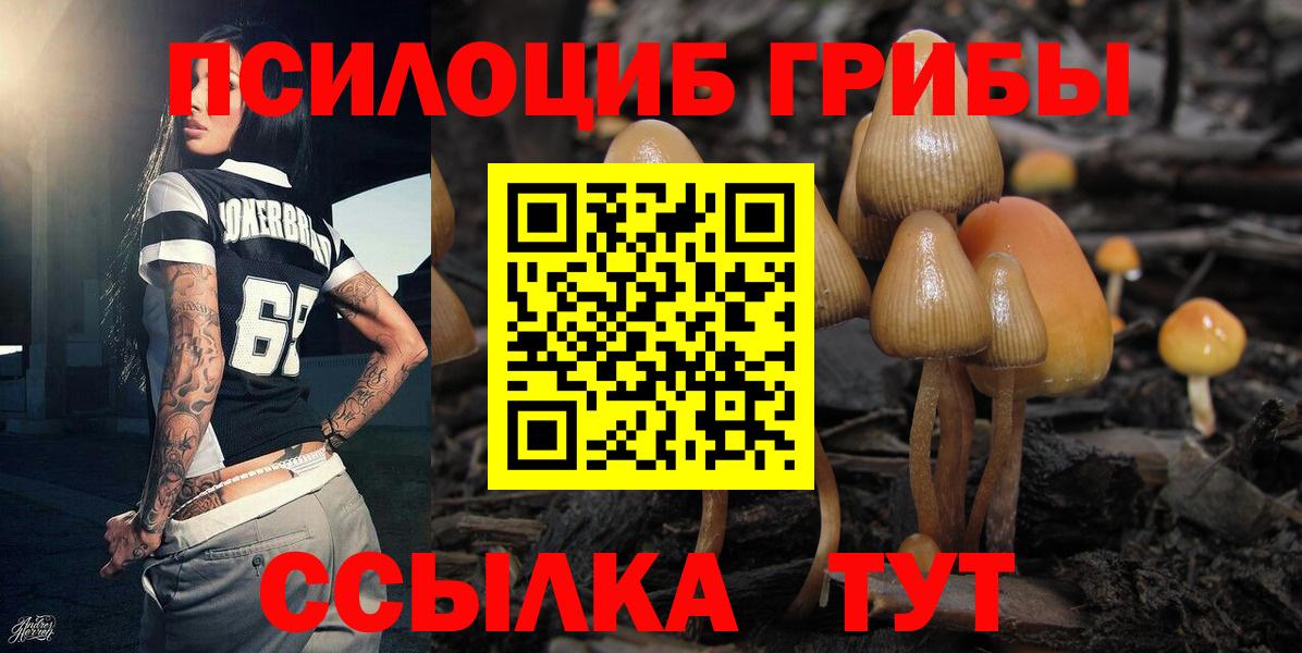 Псилоцибиновые грибы MAGIC MUSHROOMS Верхняя Пышма